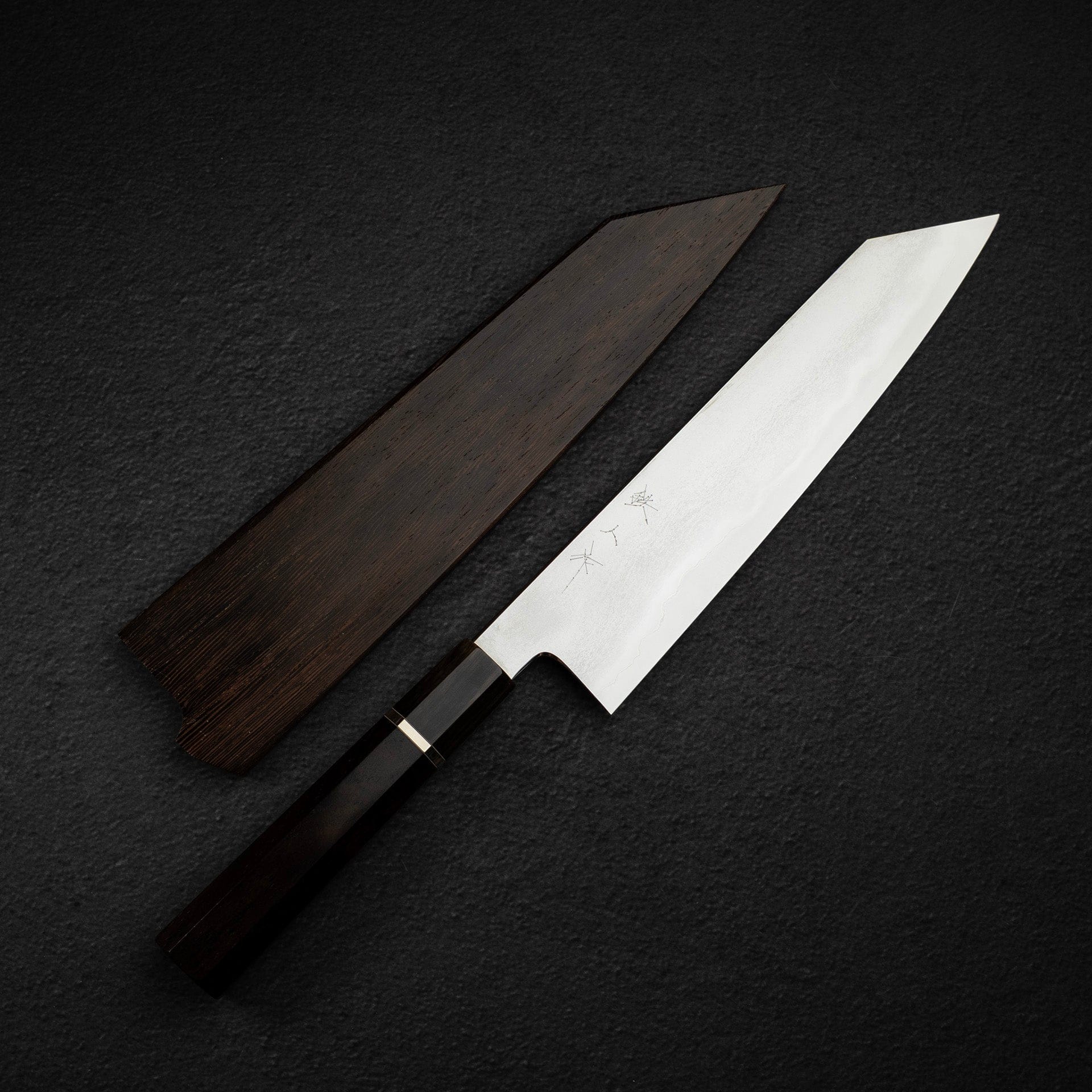 DSC_2099.jpg Tetsujin Ginsan Tanryusen (Metal Flow) K-Tip Gyuto 240mm, view 3