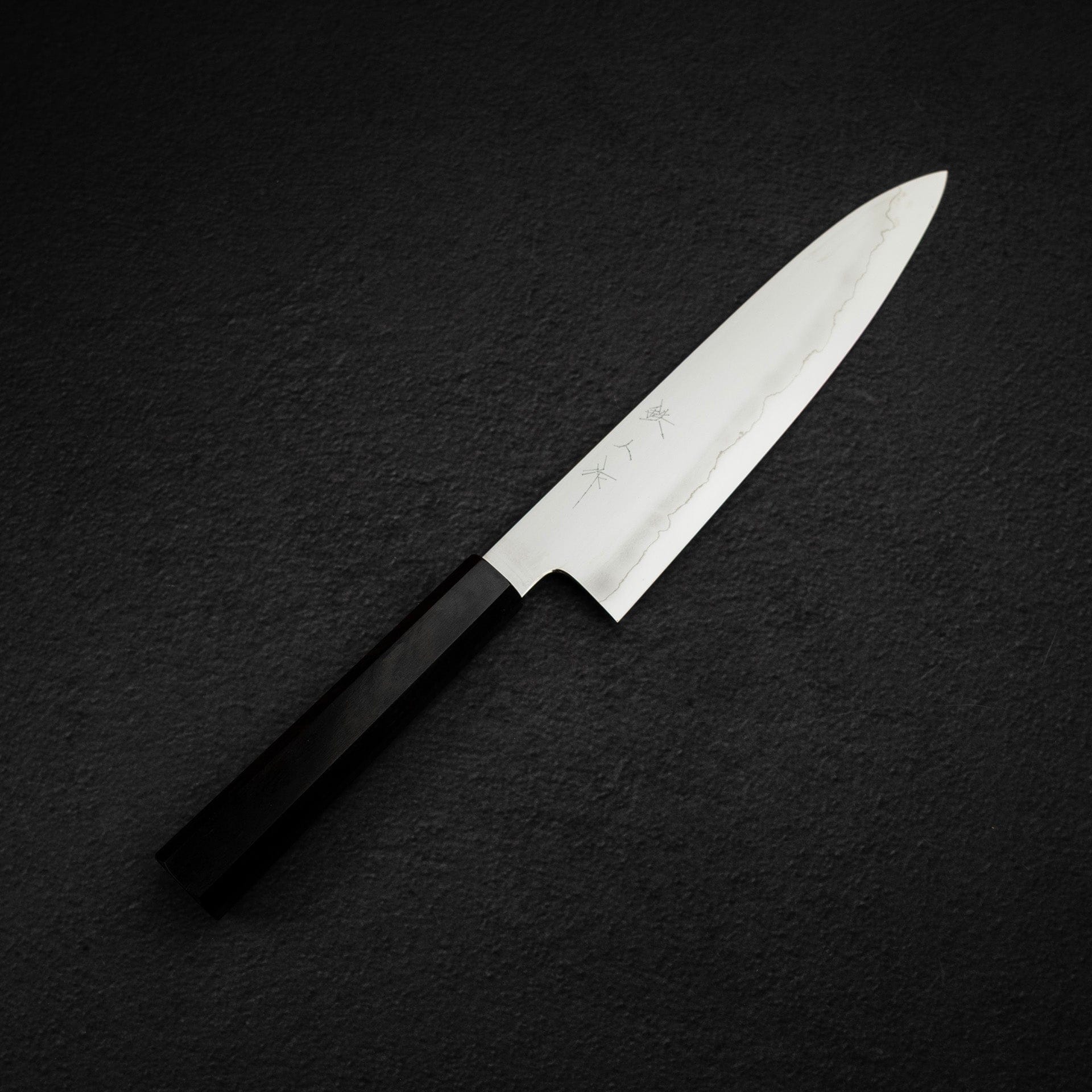 DSC_2118.jpg Tetsujin Ginsan Ukiba Gyuto 210mm Ebony Handle, view 2