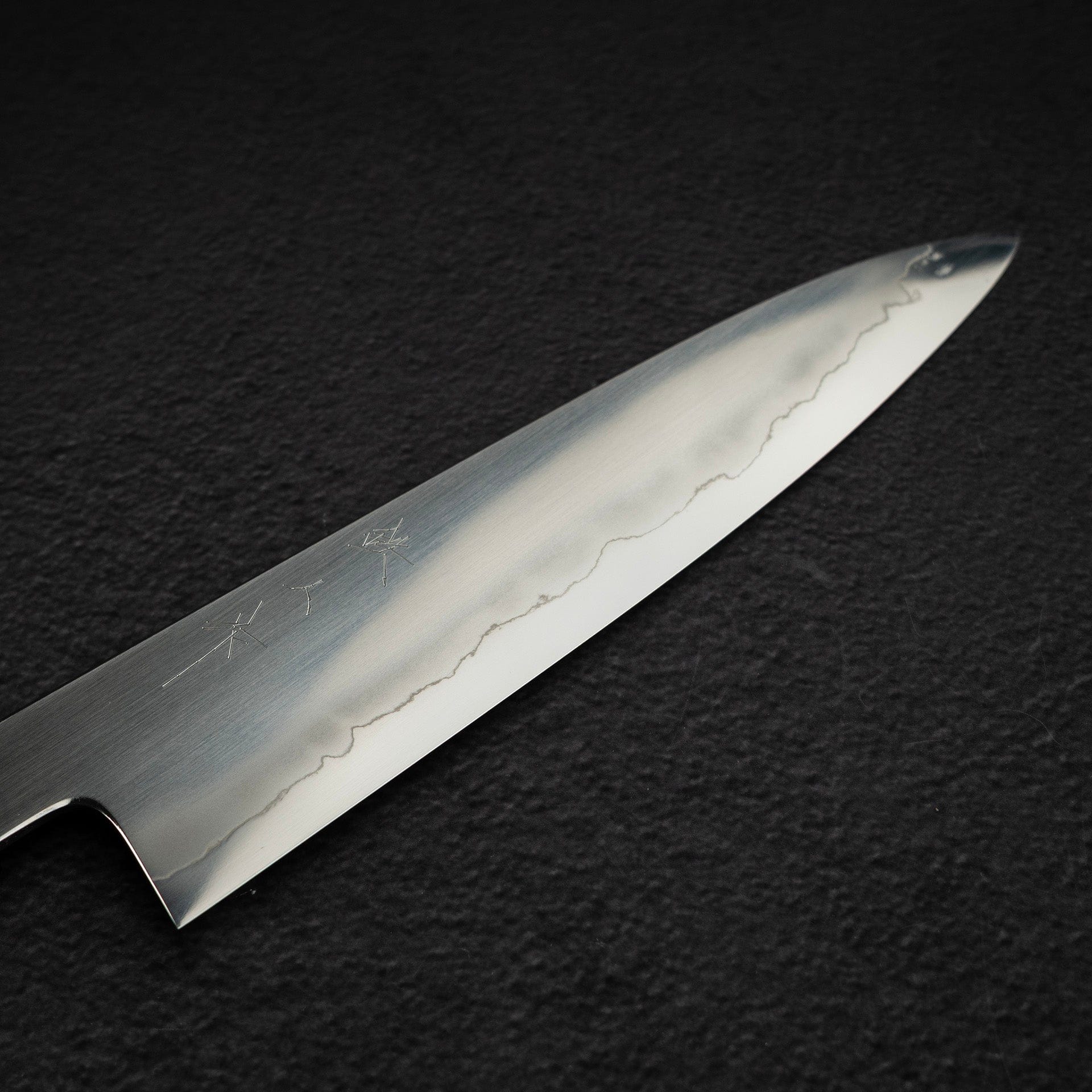 DSC_2119.jpg Tetsujin Ginsan Ukiba Gyuto 210mm Ebony Handle, view 3