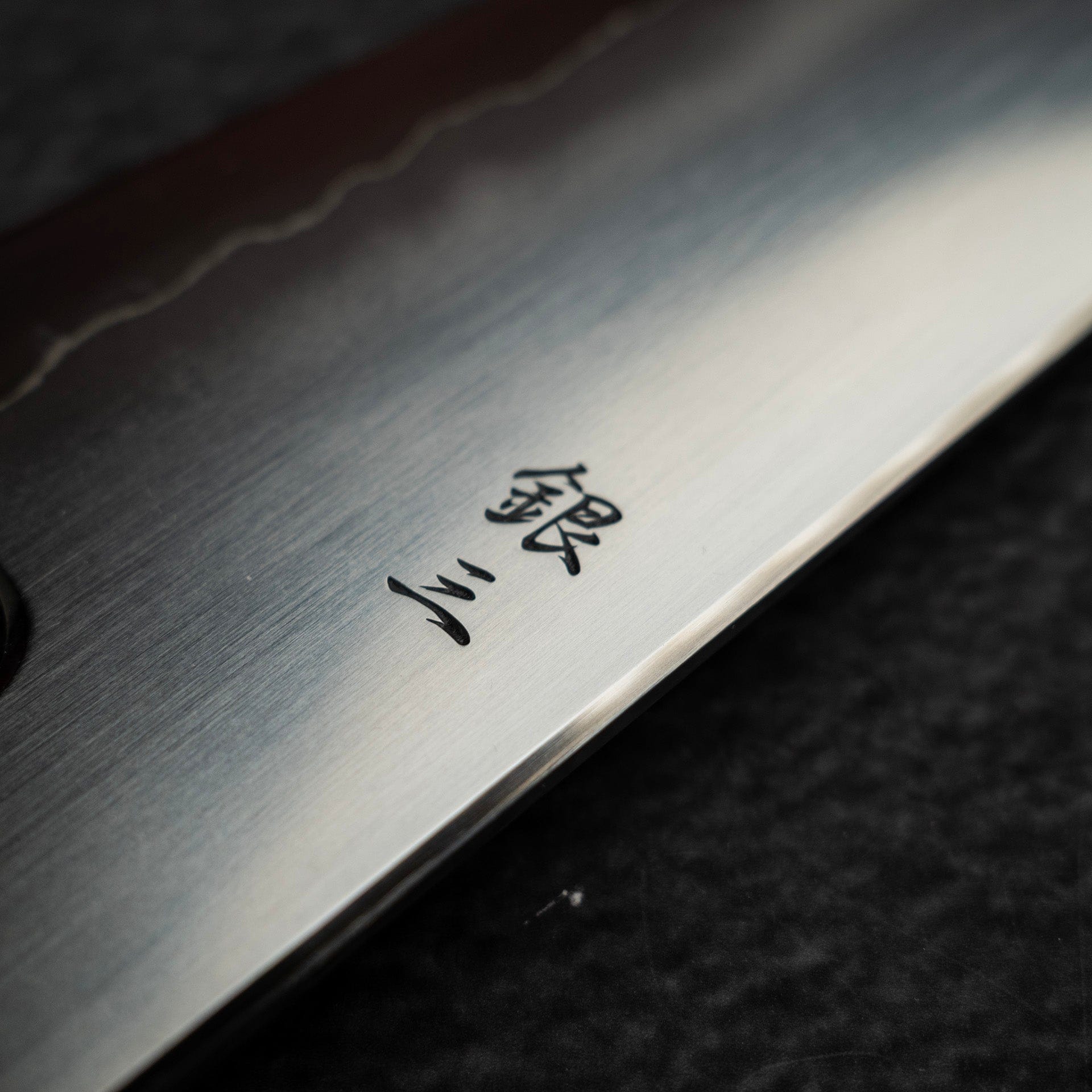 DSC_2124.jpg Tetsujin Ginsan Ukiba Gyuto 210mm Ebony Handle, view 7