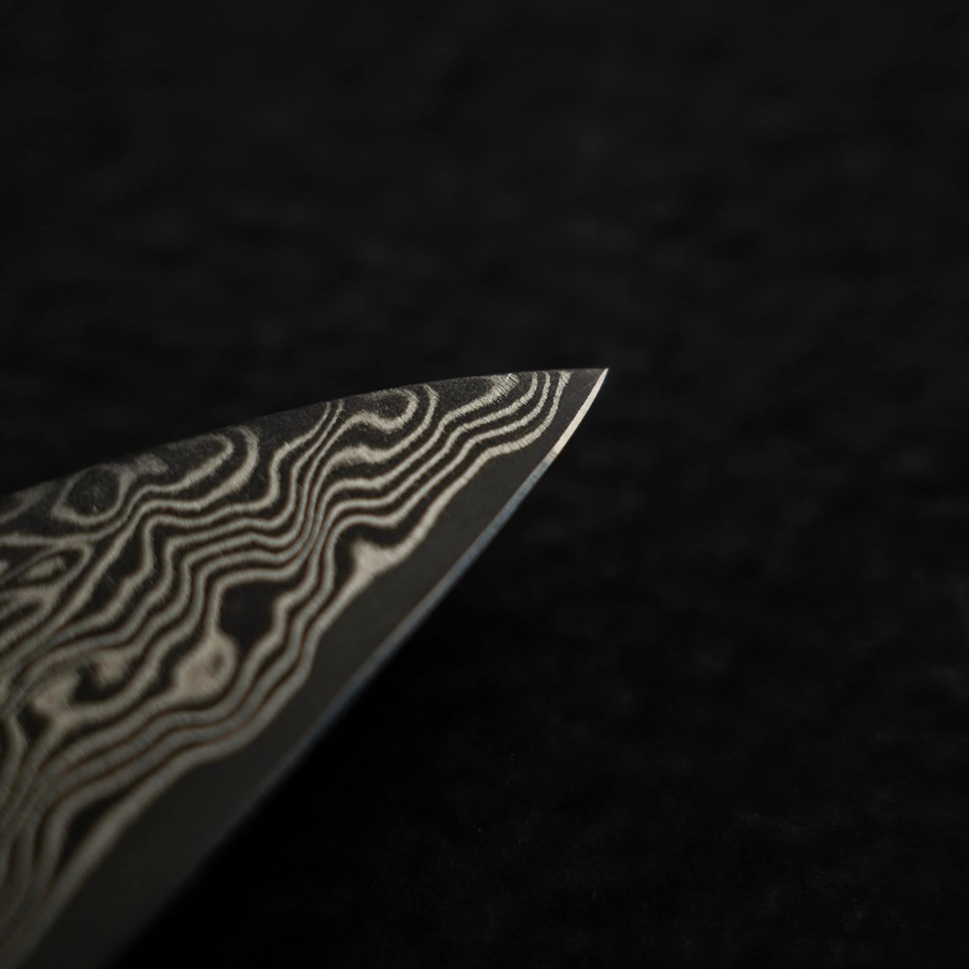 DSC_2183.jpg Takeshi Saji SG2 Black Damascus Paring 90mm, view 4