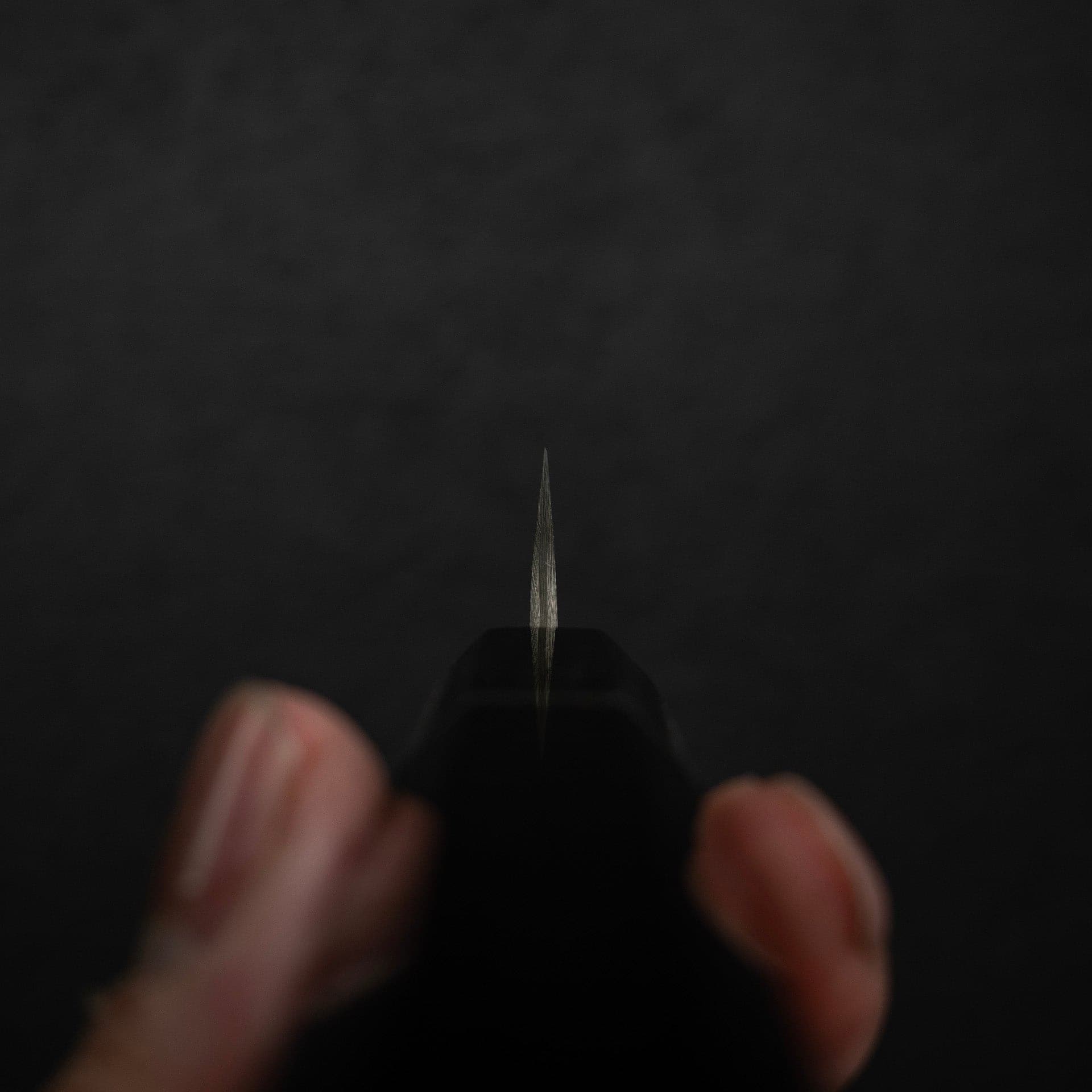 DSC_2187.jpg Takeshi Saji SG2 Black Damascus Paring 90mm, view 7