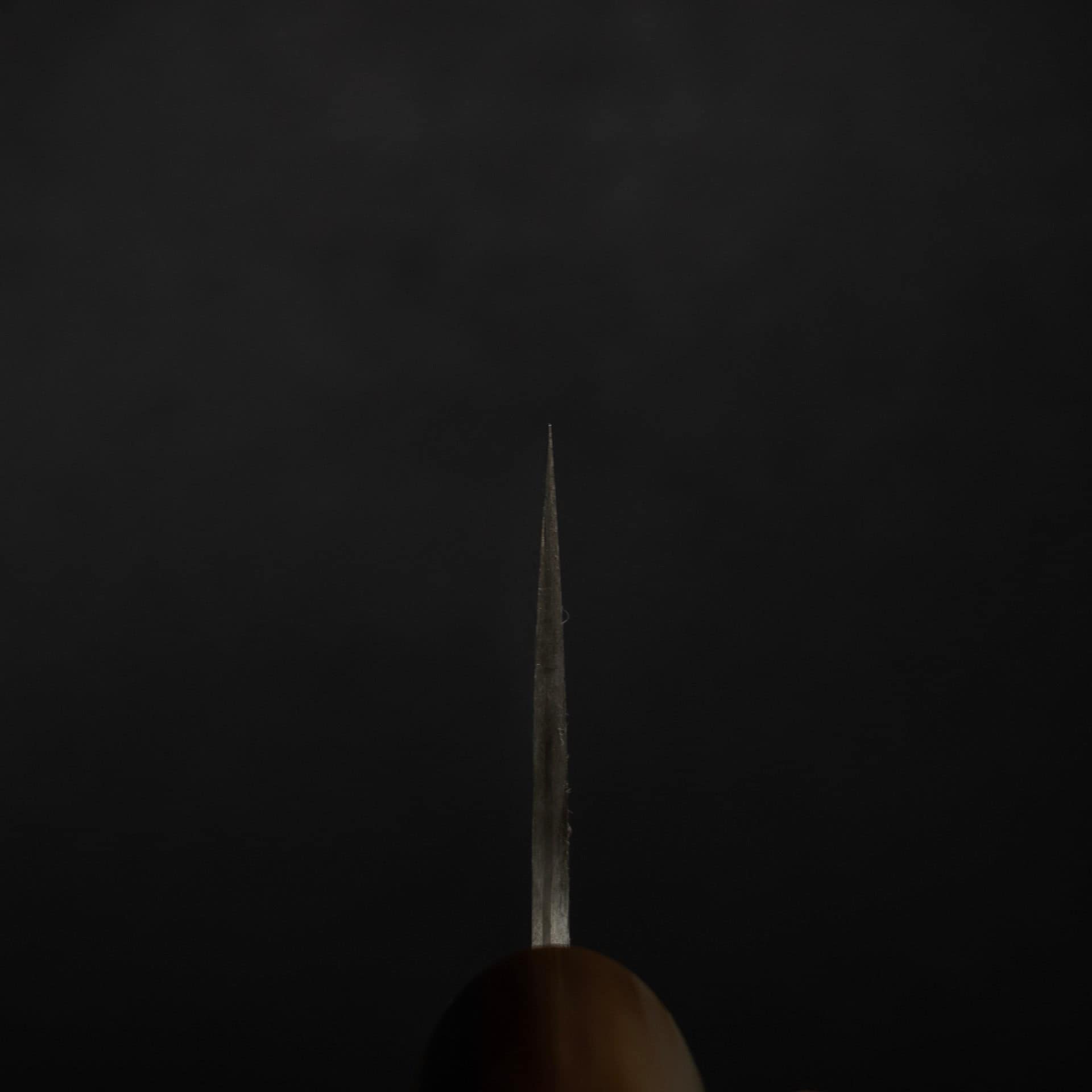 DSC_2202.jpg Takeshi Saji SG2 Black Damascus Gyuto 210mm with Wenge Saya, view 7