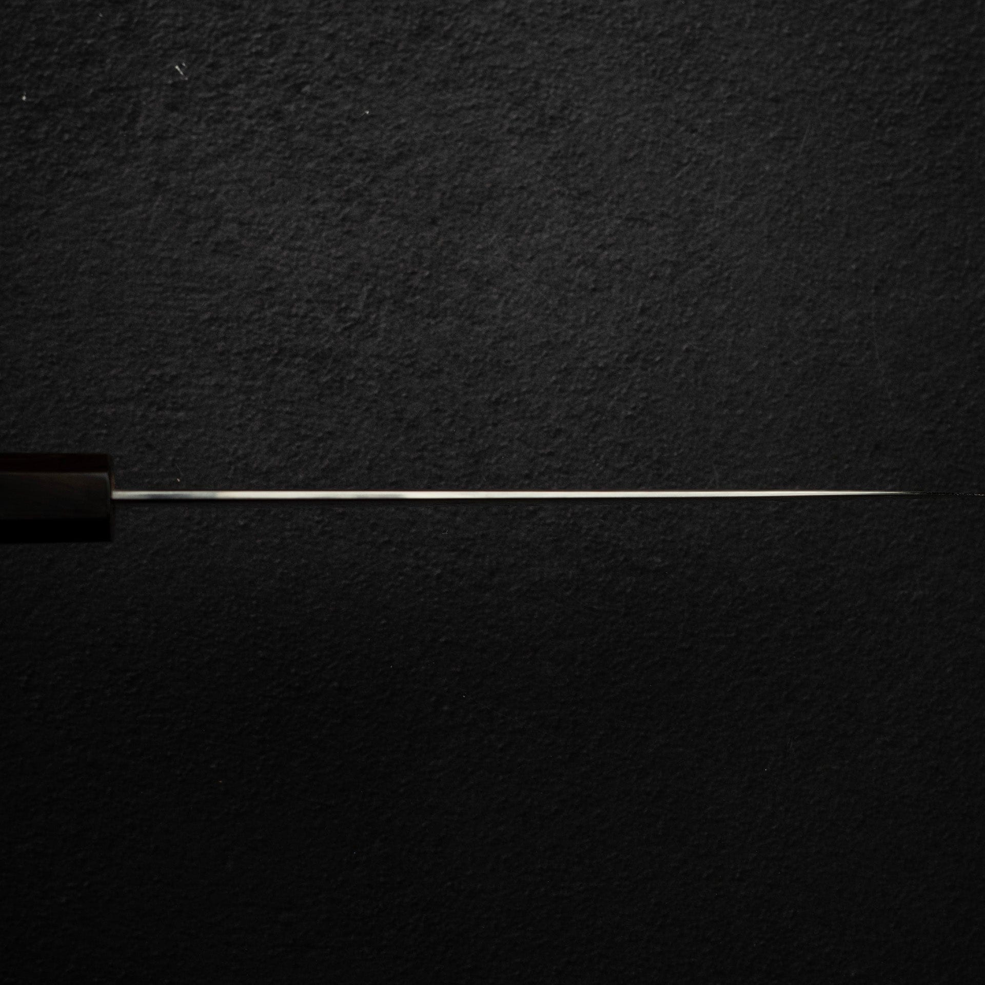 DSC_2267.jpg Tetsujin Ginsan Ukiba Gyuto 210mm Ebony Handle, view 10