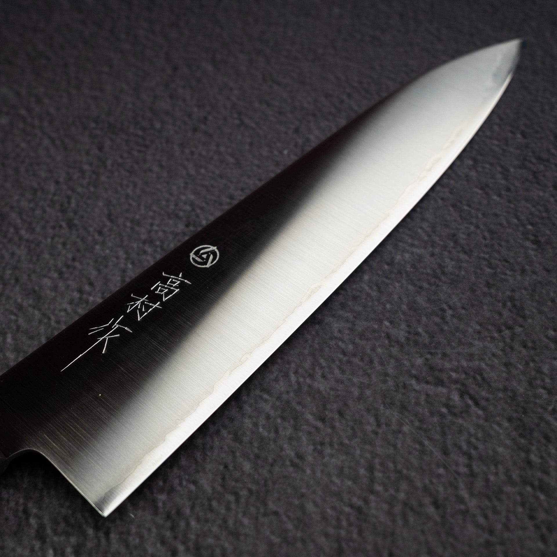 DSC_3232.jpg Takamura SG2 Migaki Gyuto 180mm, view 3