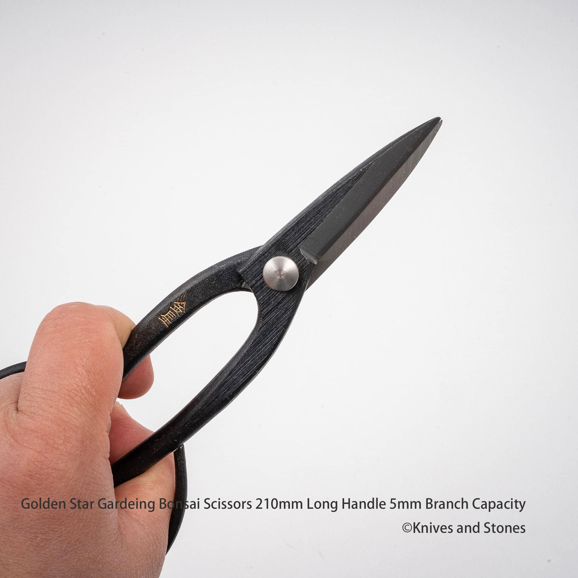 GoldenStarGardeingBonsaiScissors210mmLongHandle5mmBranchCapacityA.jpg Golden Star "Ashinaga" Bonsai Scissors by Kinboshi, view 2