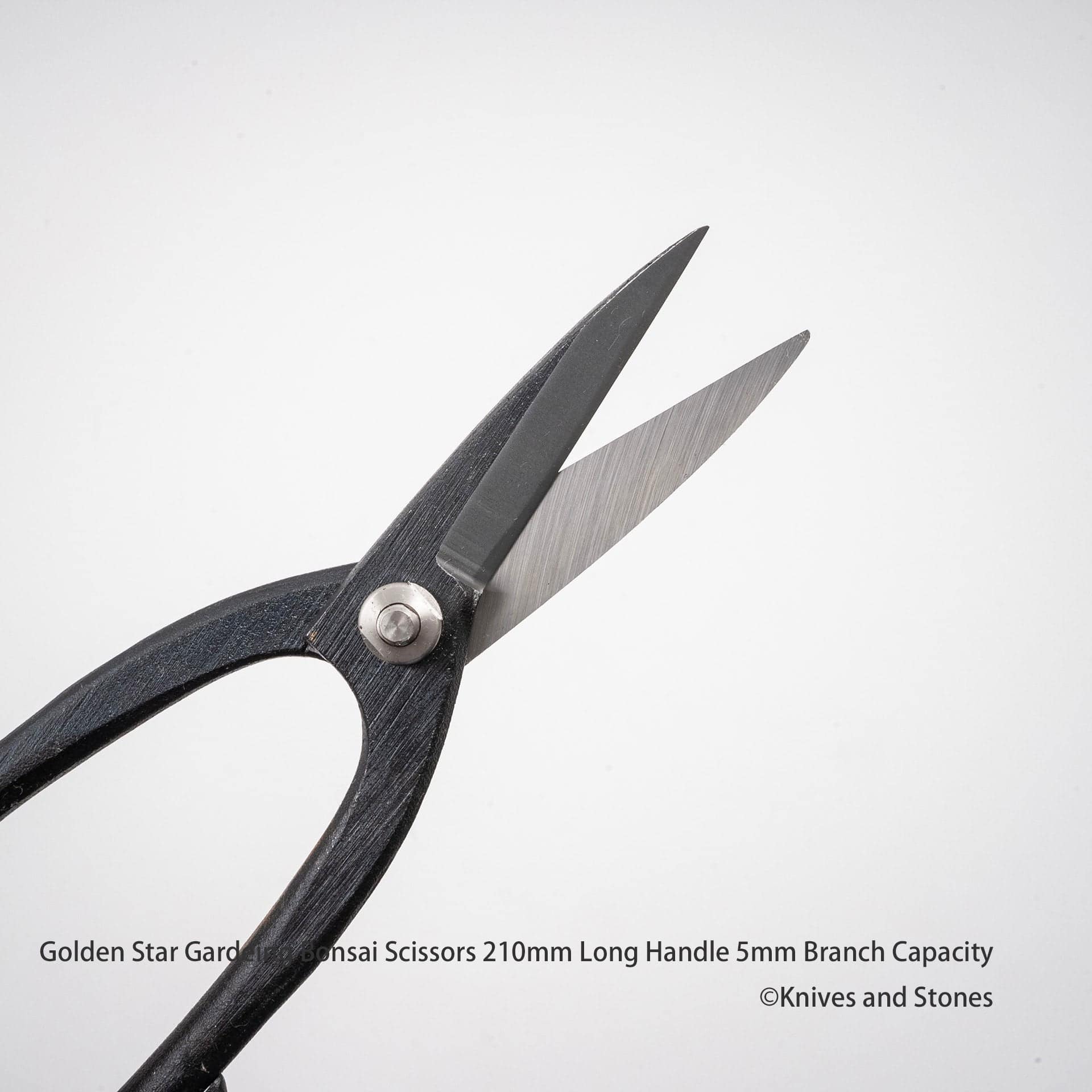 GoldenStarGardeingBonsaiScissors210mmLongHandle5mmBranchCapacityF.jpg Golden Star "Ashinaga" Bonsai Scissors by Kinboshi, view 3