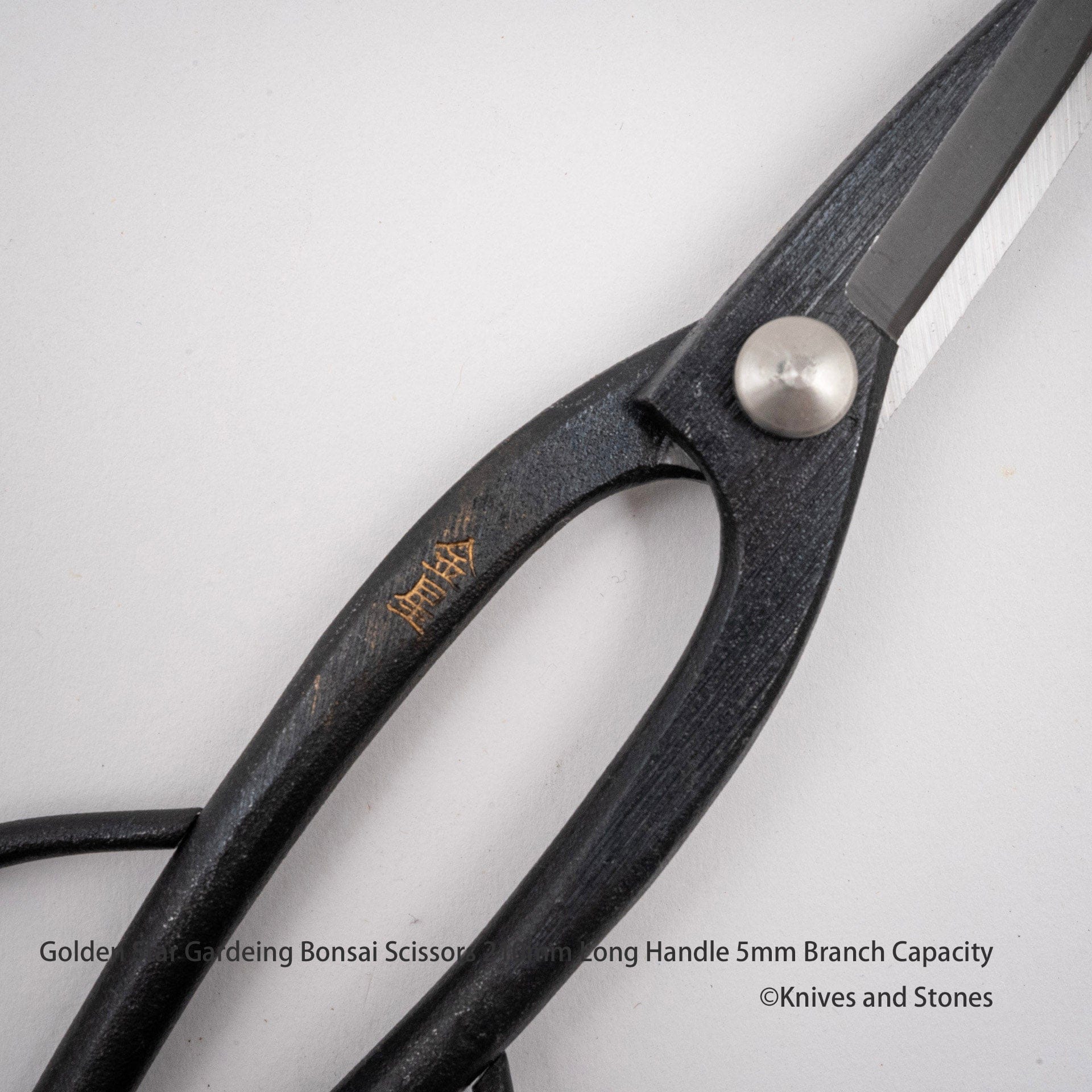 GoldenStarGardeingBonsaiScissors210mmLongHandle5mmBranchCapacityG.jpg Golden Star "Ashinaga" Bonsai Scissors by Kinboshi, view 4
