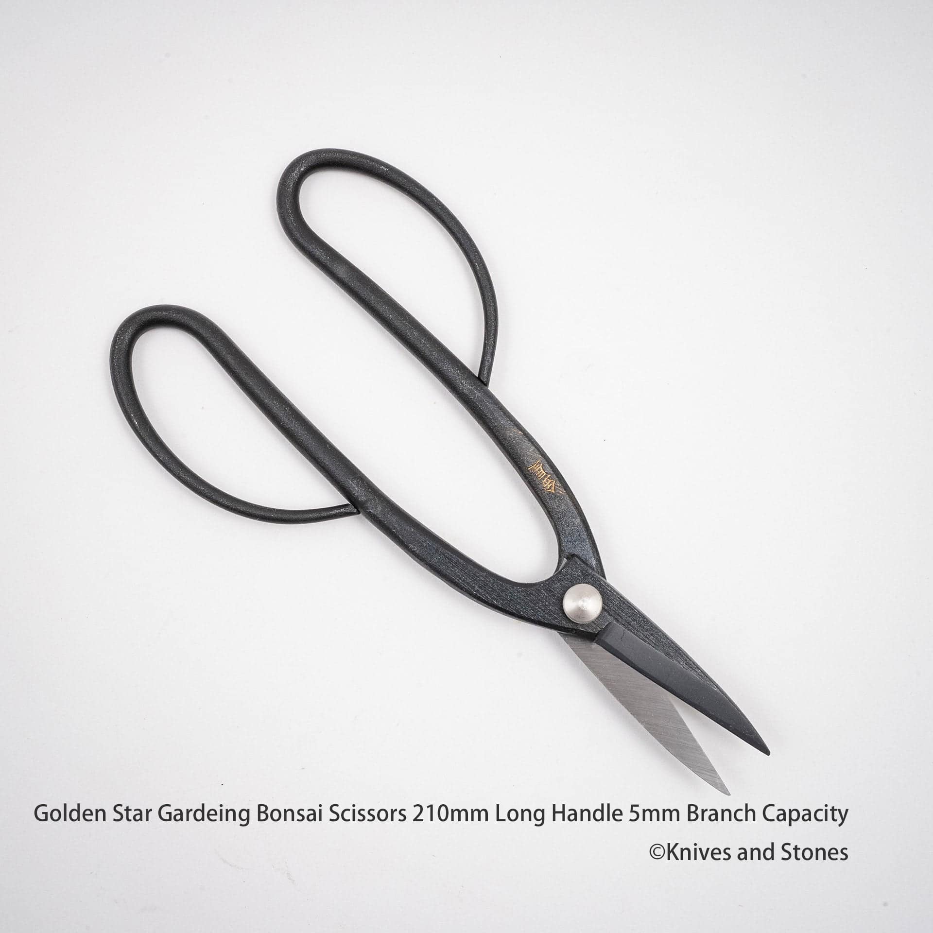 GoldenStarGardeingBonsaiScissors210mmLongHandle5mmBranchCapacityH.jpg Golden Star "Ashinaga" Bonsai Scissors by Kinboshi, view 5