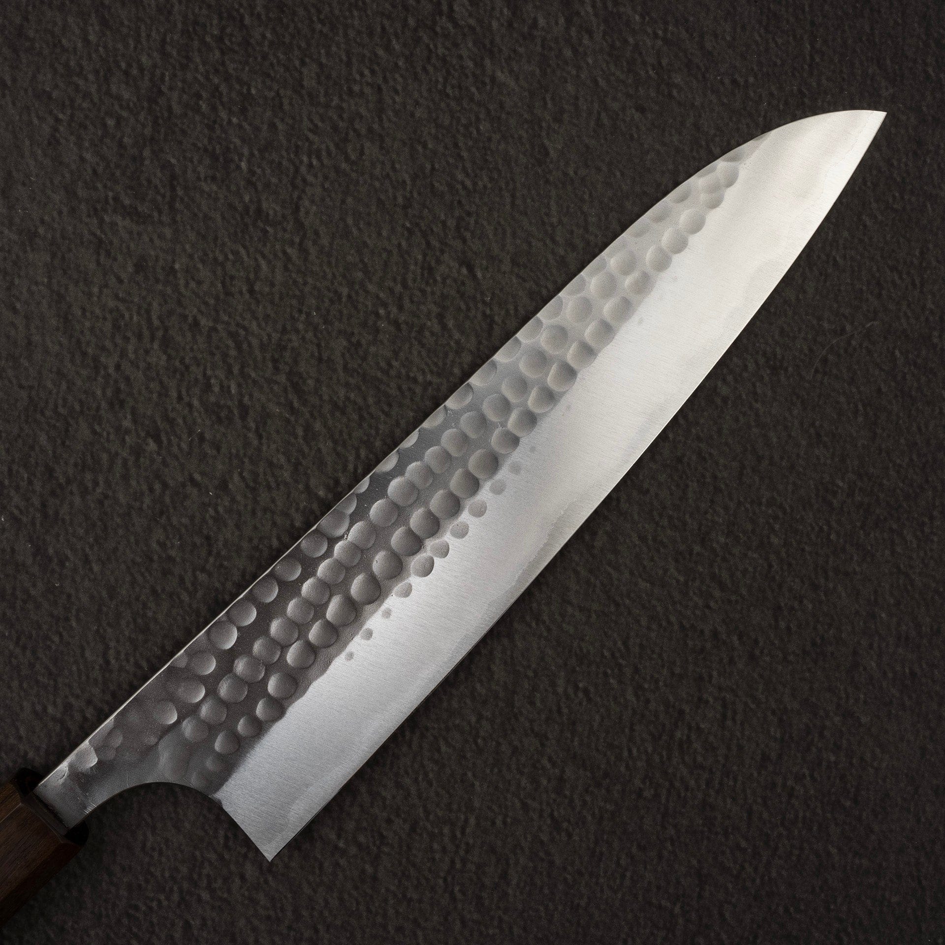 KatsushigeAnryuBlue2TsuchimeStainlessCladGyuto210mmEbonyHandleb.jpg Katsushige Anryu Blue 2 Tsuchime Stainless Clad Gyuto 210mm Ebony Handle, view 2