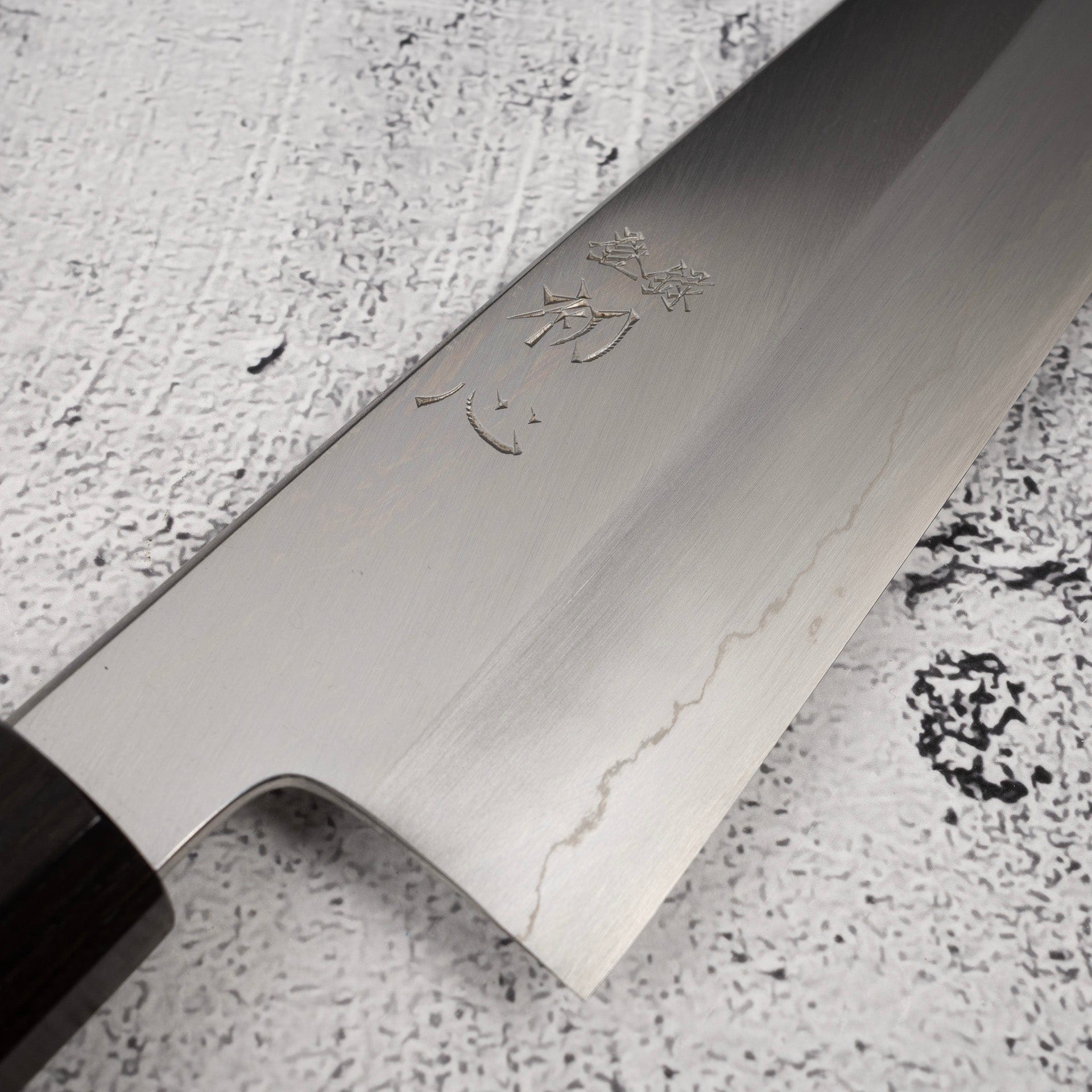 NakagawaGinsanWide-bevelGyuto240mmc_15e77523-f52f-4e9c-b9b9-41ee46df281a.jpg Hatsukokoro x Nakagawa Ginsan Wide-bevel Gyuto 240mm, view 3