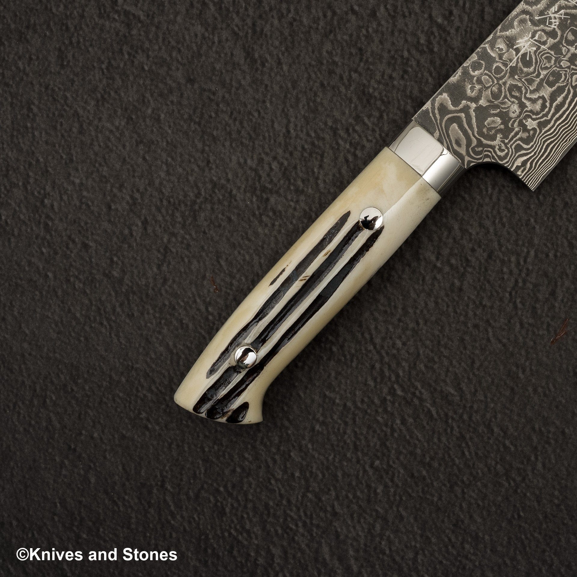 SajiR2BoneGyuto180mm-20250328-06.jpg Takeshi Saji SG2 Black Damascus Gyuto 180mm Stag Handle, view 2