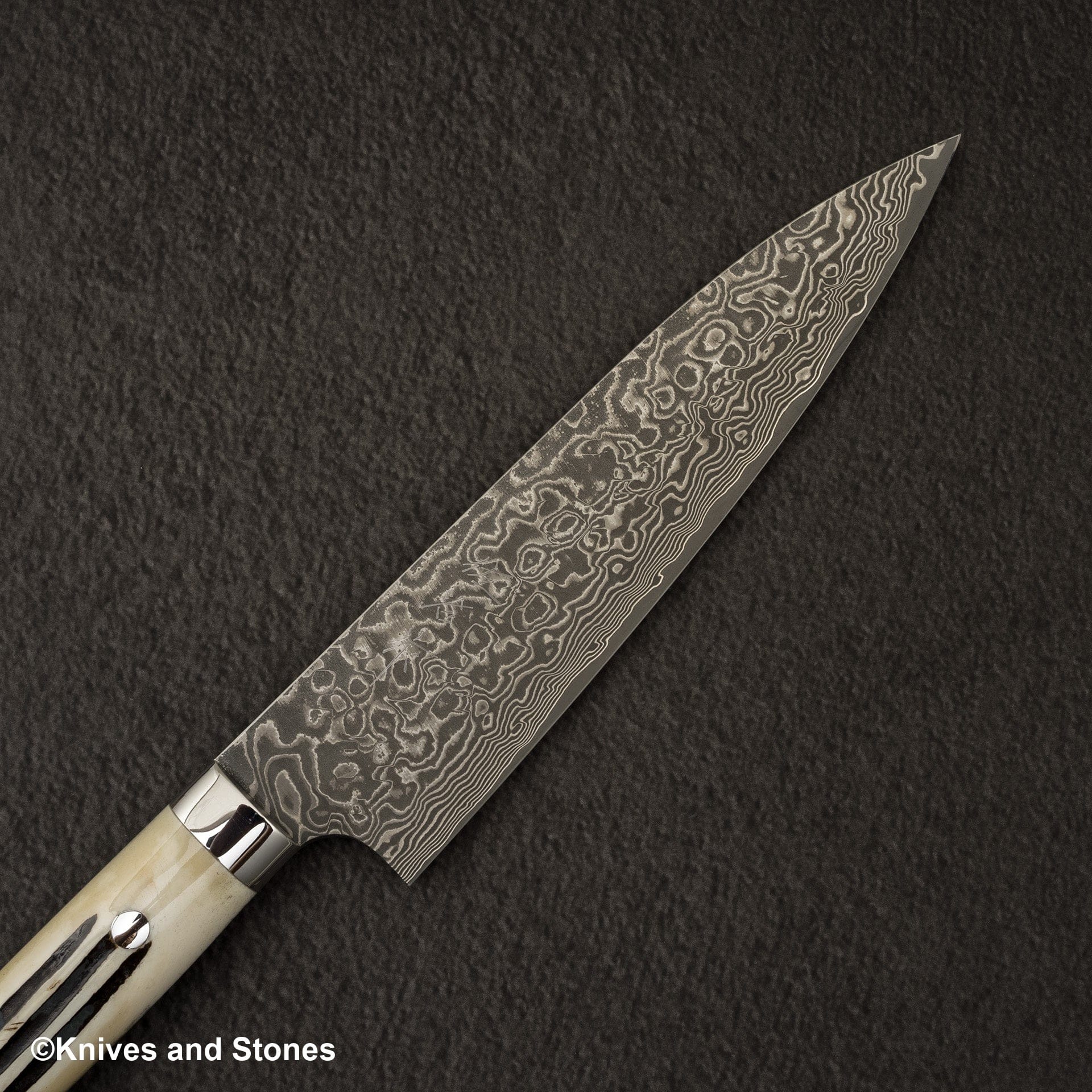 SajiR2BoneGyuto180mm-20250328-07.jpg Takeshi Saji SG2 Black Damascus Gyuto 180mm Stag Handle, view 3