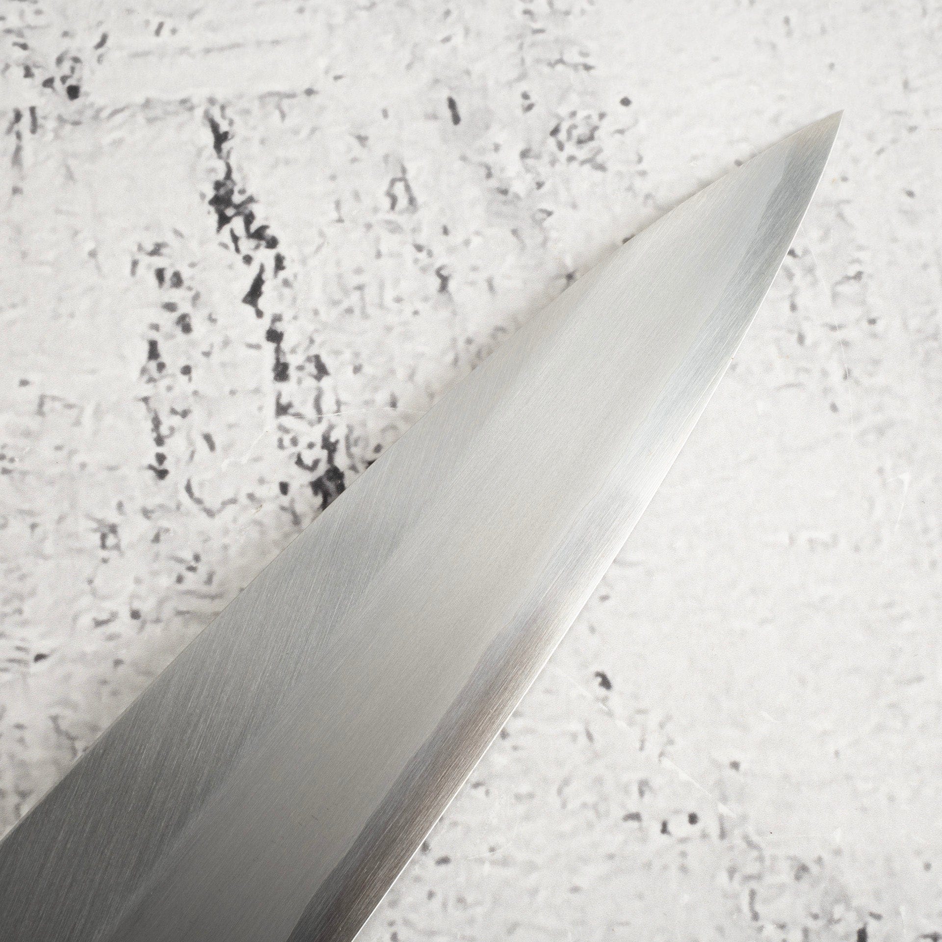 SakaiTakayukiGinsanYanagiba270mmc.jpg Sakai Takayuki Ginsan Yanagiba 270mm, view 3