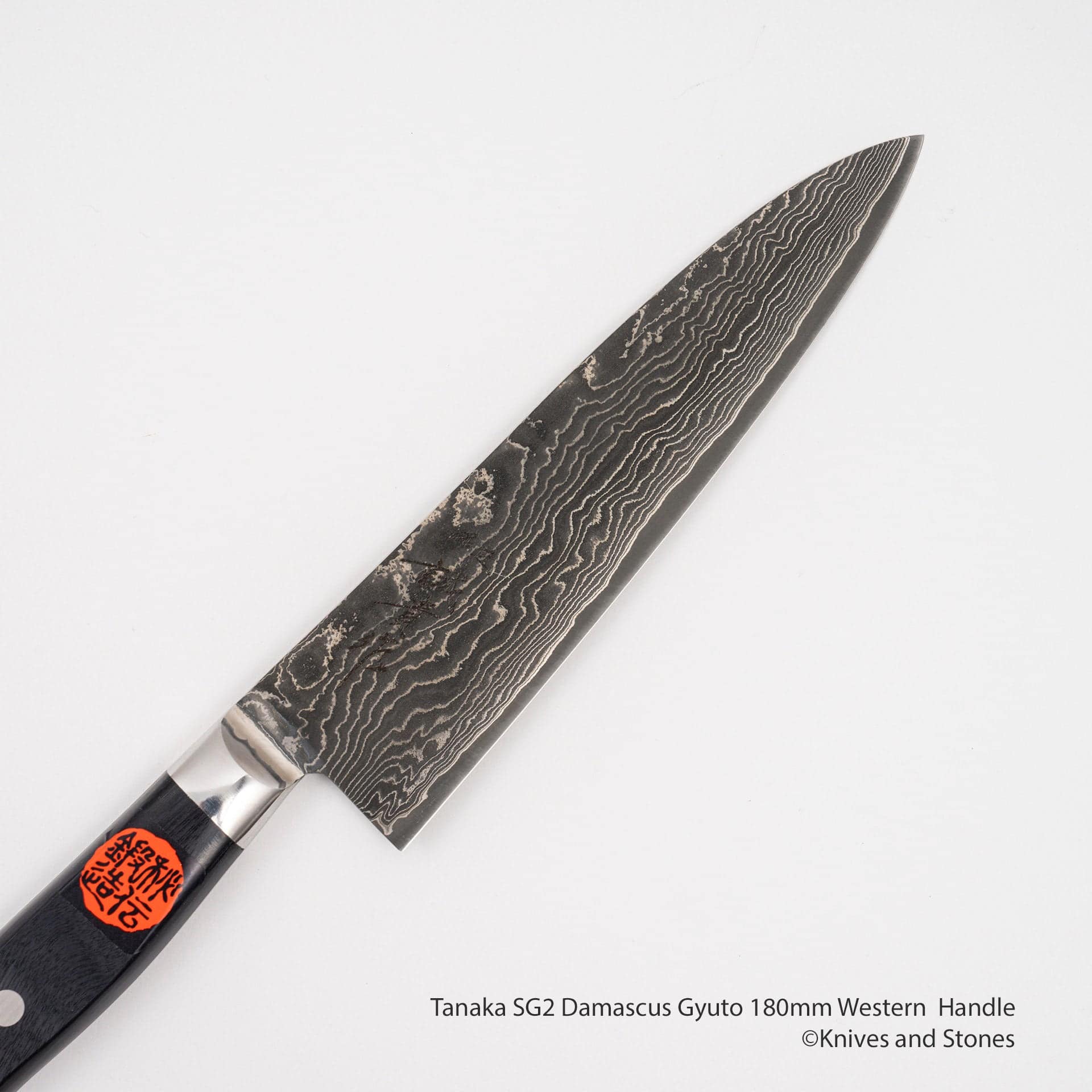 TanakaSG2DamascusGyuto180mmWesternHandleF.jpg Tanaka SG2 Damascus Gyuto 180mm Western Handle, view 2