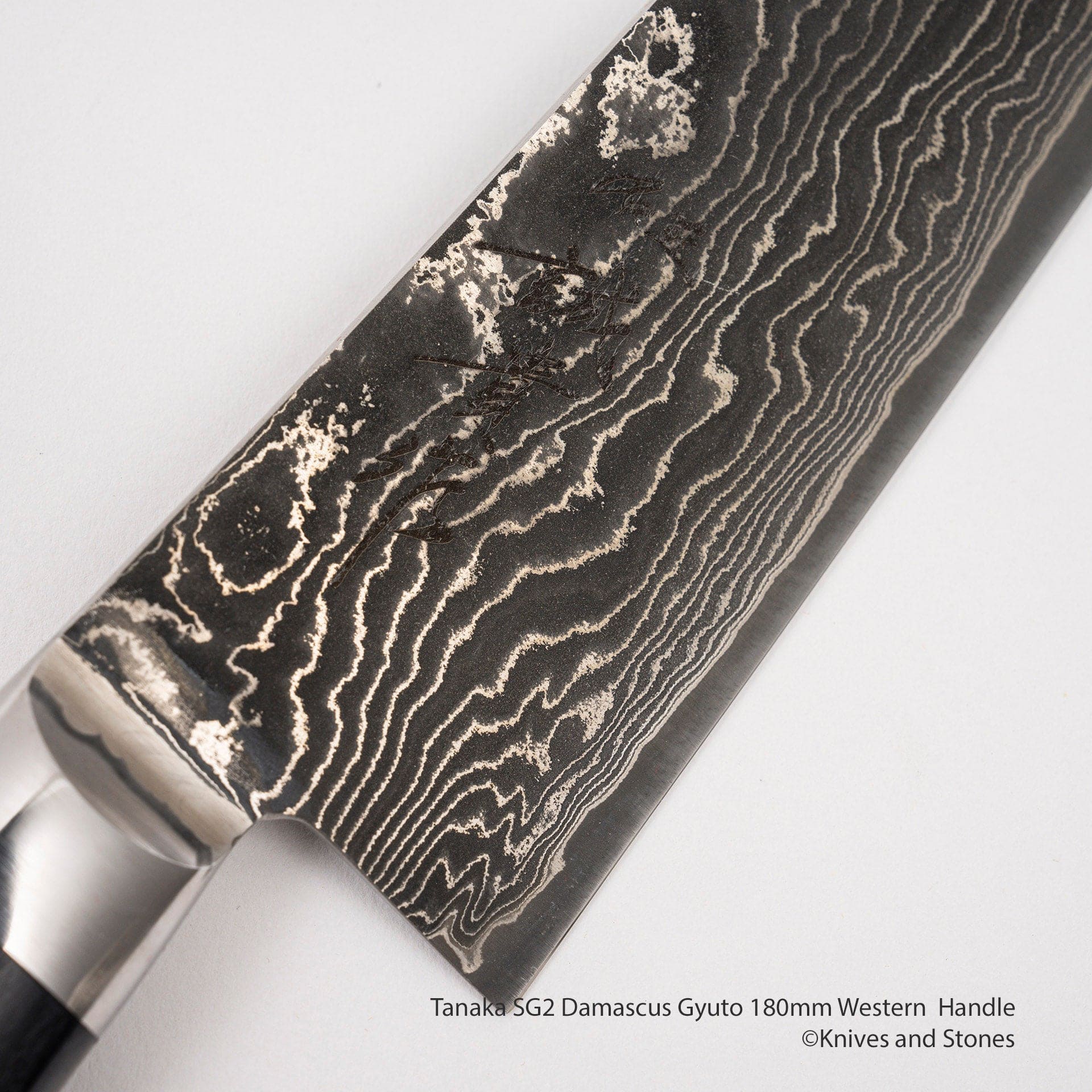 TanakaSG2DamascusGyuto180mmWesternHandleG.jpg Tanaka SG2 Damascus Gyuto 180mm Western Handle, view 3