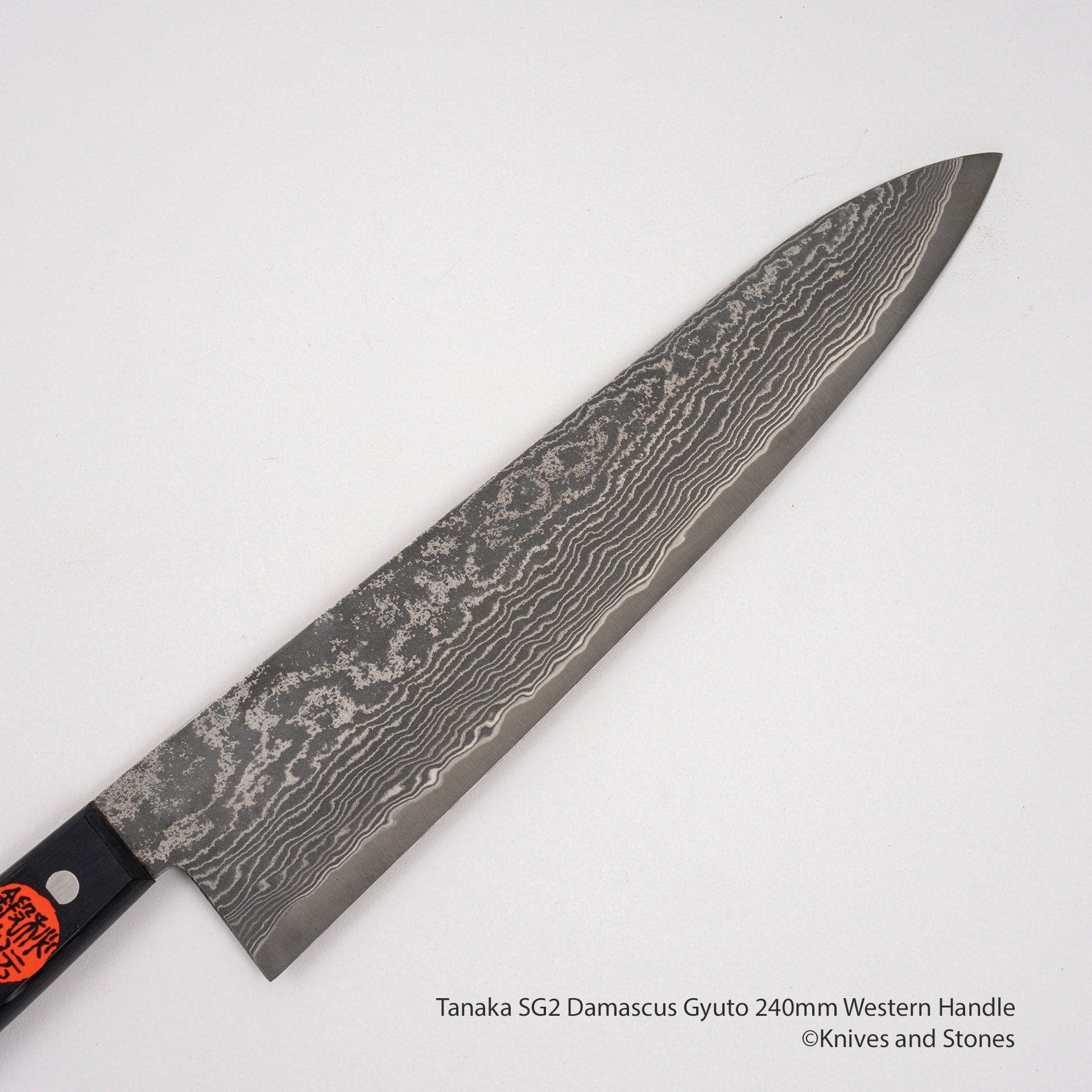 TanakaSG2DamascusGyuto240mmWesternHandleH.jpg Tanaka SG2 Damascus Gyuto 240mm Western Handle, view 2