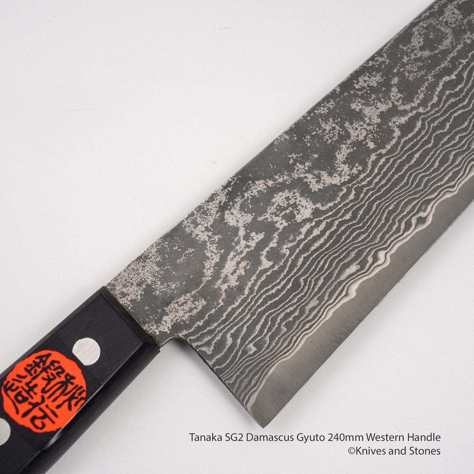 TanakaSG2DamascusGyuto240mmWesternHandleI.jpg Tanaka SG2 Damascus Gyuto 240mm Western Handle, view 3