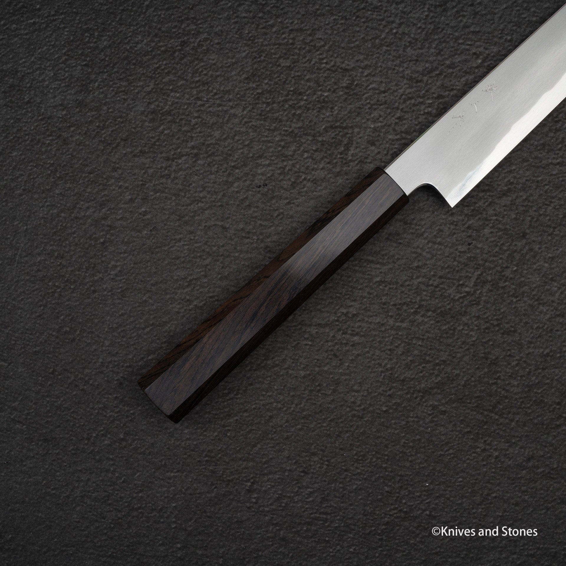 TetsujinBlue2KasumiSujihiki240mmF.jpg Tetsujin Blue 2 Kasumi Sujihiki 240mm Ebony Handle, view 2