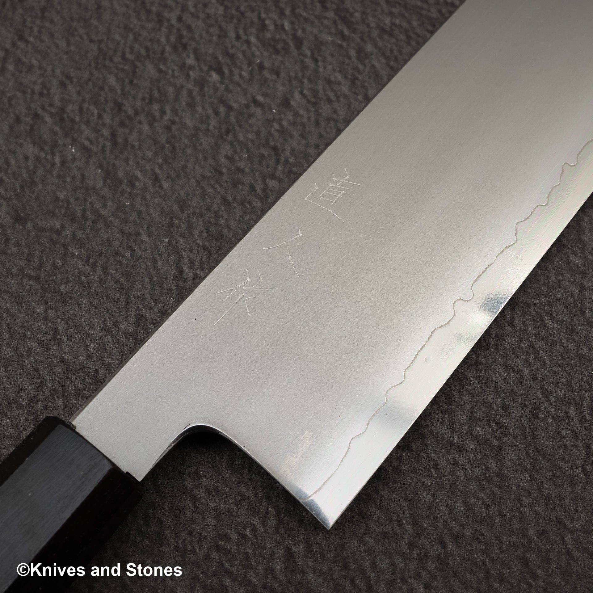 TetsujinSG2KasumiNakiri180mm-20250227-03.jpg Myojin Riki Seisakusho SG2 Kasumi Nakiri 180mm Ebony Handle, view 3